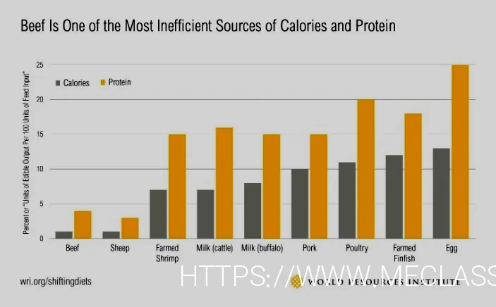 What do animals eatanimal diets